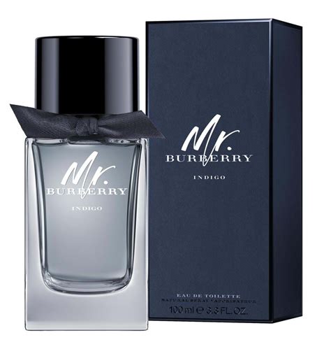 mr burberry perfume 100ml|mr burberry indigo 50ml.